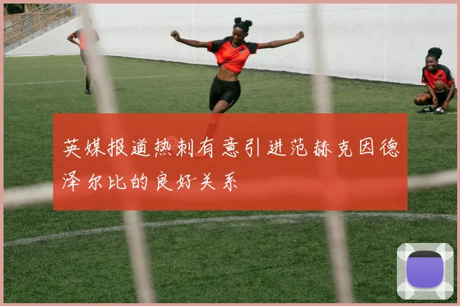 英媒报道热刺有意引进范赫克因德泽尔比的良好关系