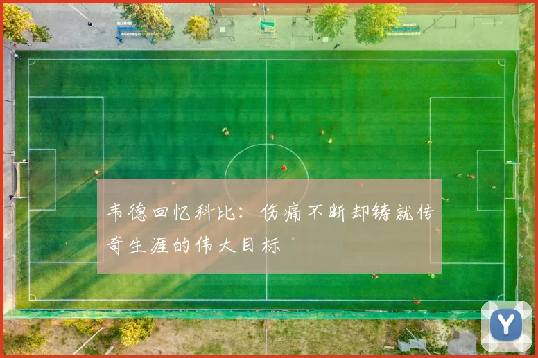 韦德回忆科比：伤痛不断却铸就传奇生涯的伟大目标
